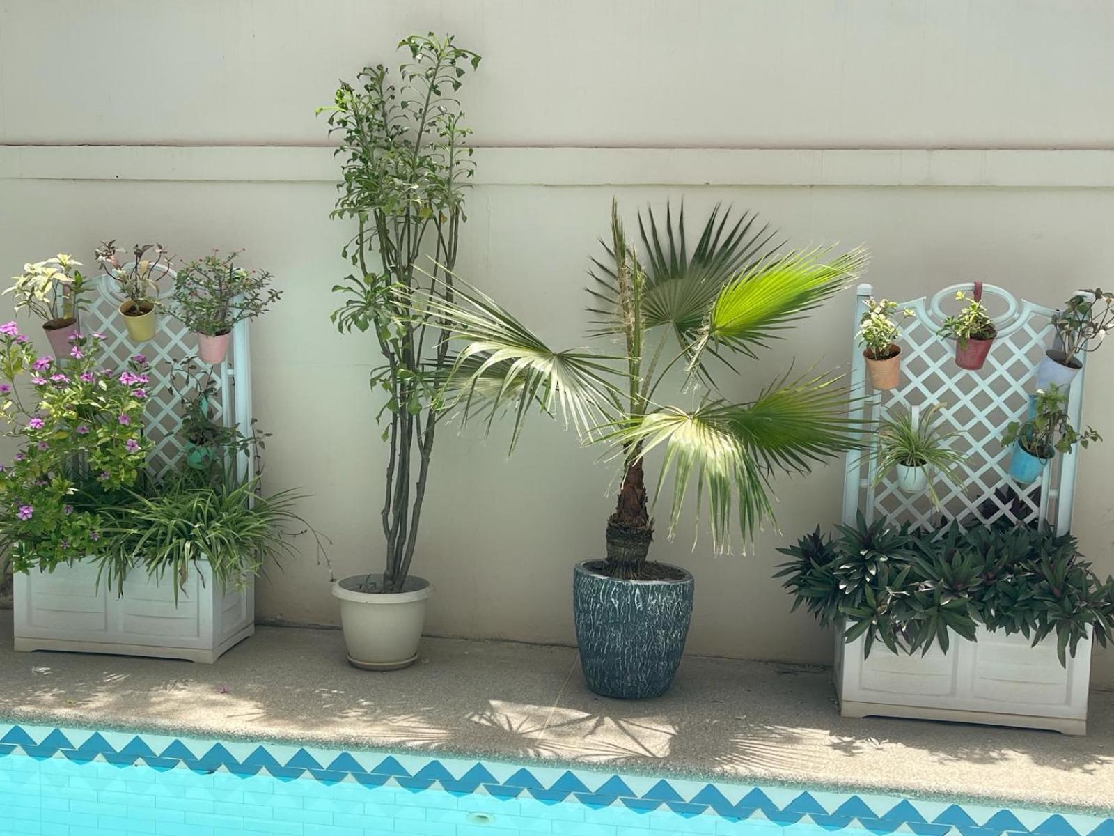 Villa Ngore Saly Ngoại thất bức ảnh